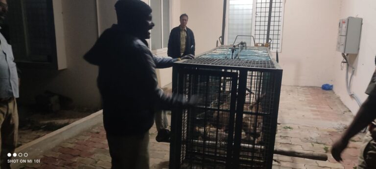 WhatsApp Image 2025-08-25 at 09.28.42 (1)