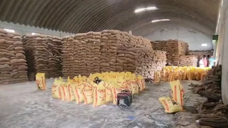 wmremove-transformed (1)