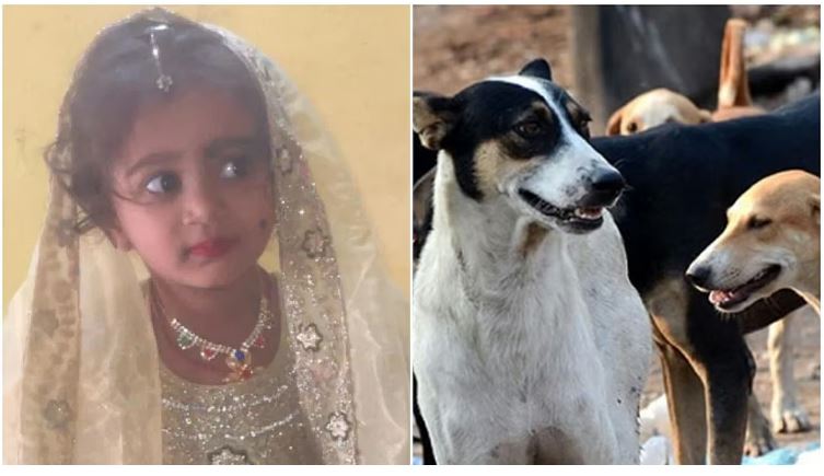 ನಾಯಿ ಕಡಿತ