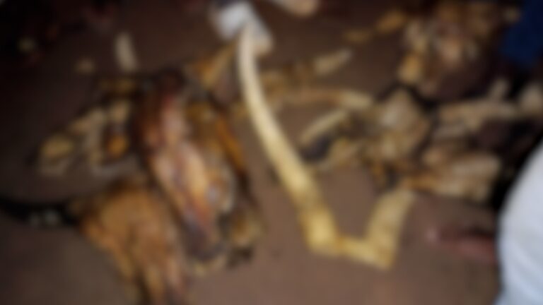 WhatsApp Image 2025-09-04 at 11.22.37