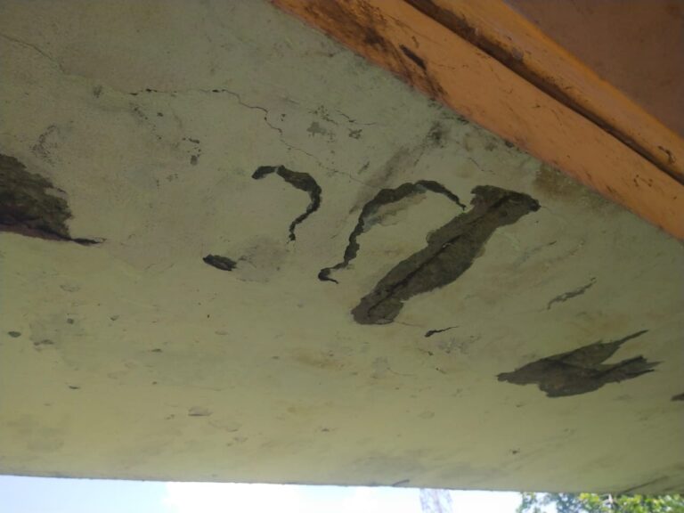 WhatsApp Image 2025-09-09 at 11.12.41