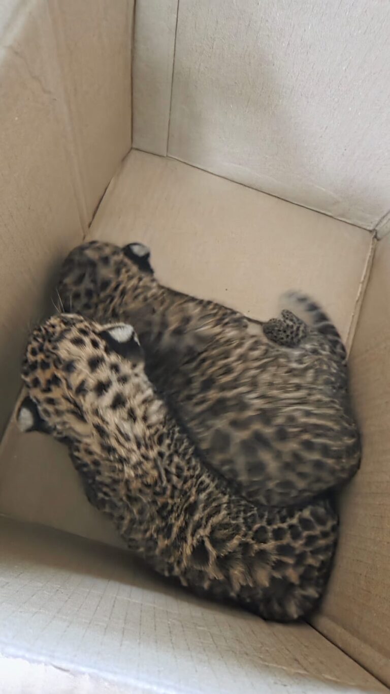 WhatsApp Image 2025-10-02 at 10.36.43 AM