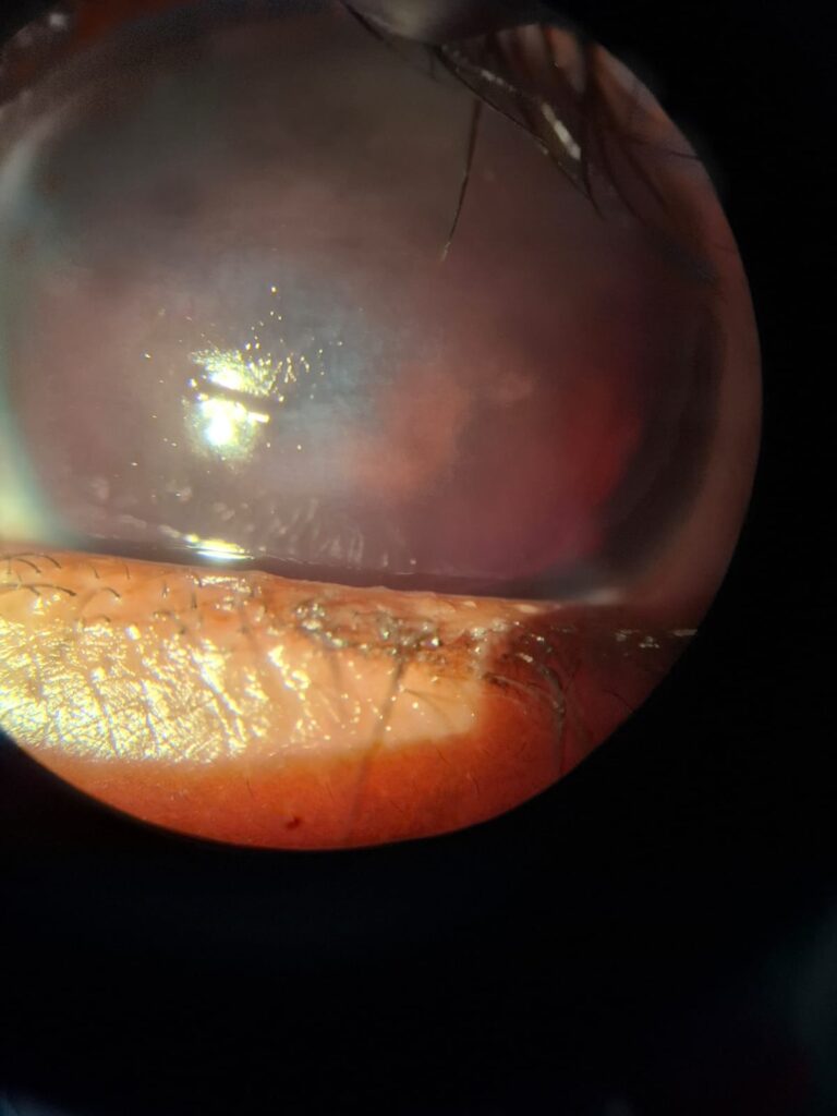 WhatsApp Image 2025-10-21 at 08.48.32 (1)