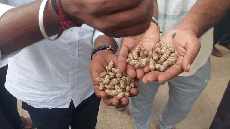 vlcsnap-2025-10-11-11h19m46s237