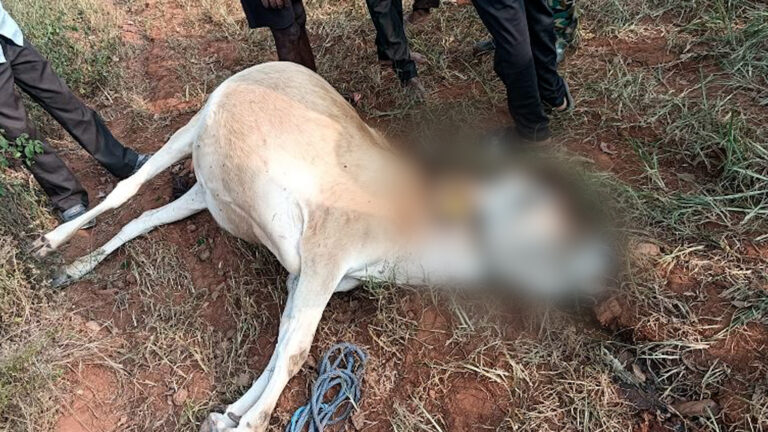 BDA.07_59_16_12.Still005