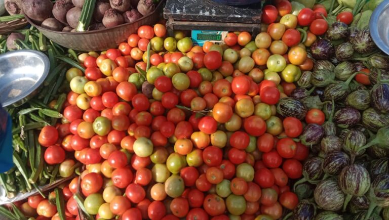 WhatsApp Image 2025-11-25 at 10.18.10