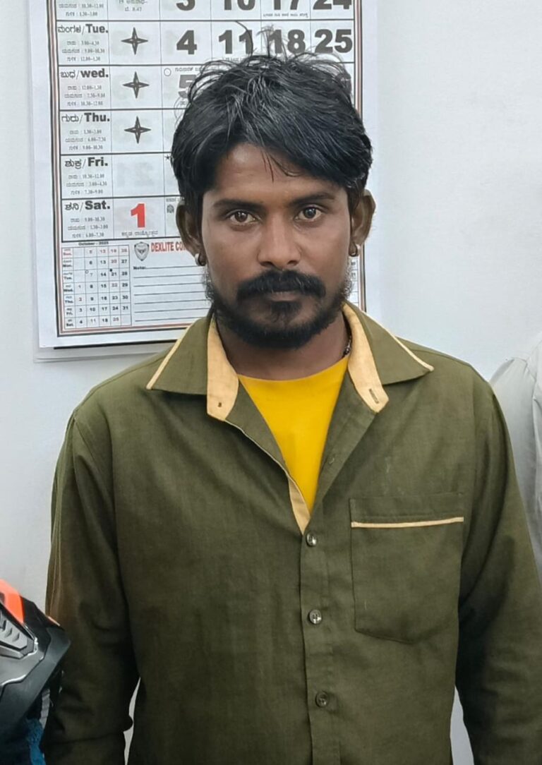 WhatsApp Image 2025-12-10 at 15.37.07