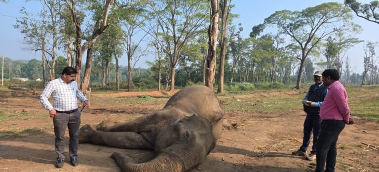 WhatsApp Image 2025-12-10 at 8.20.14 AM