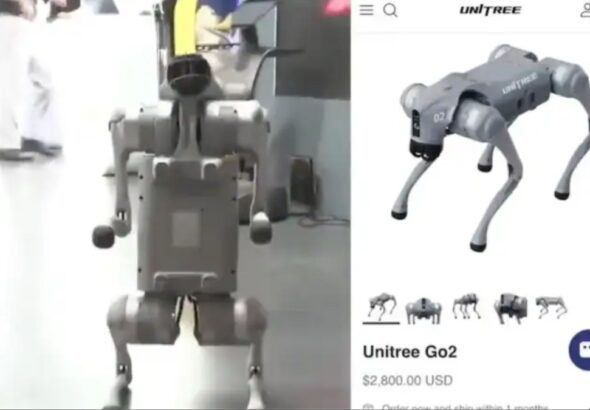 galgotias university